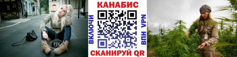 Купить где  Аркадак  Канабис сатива 